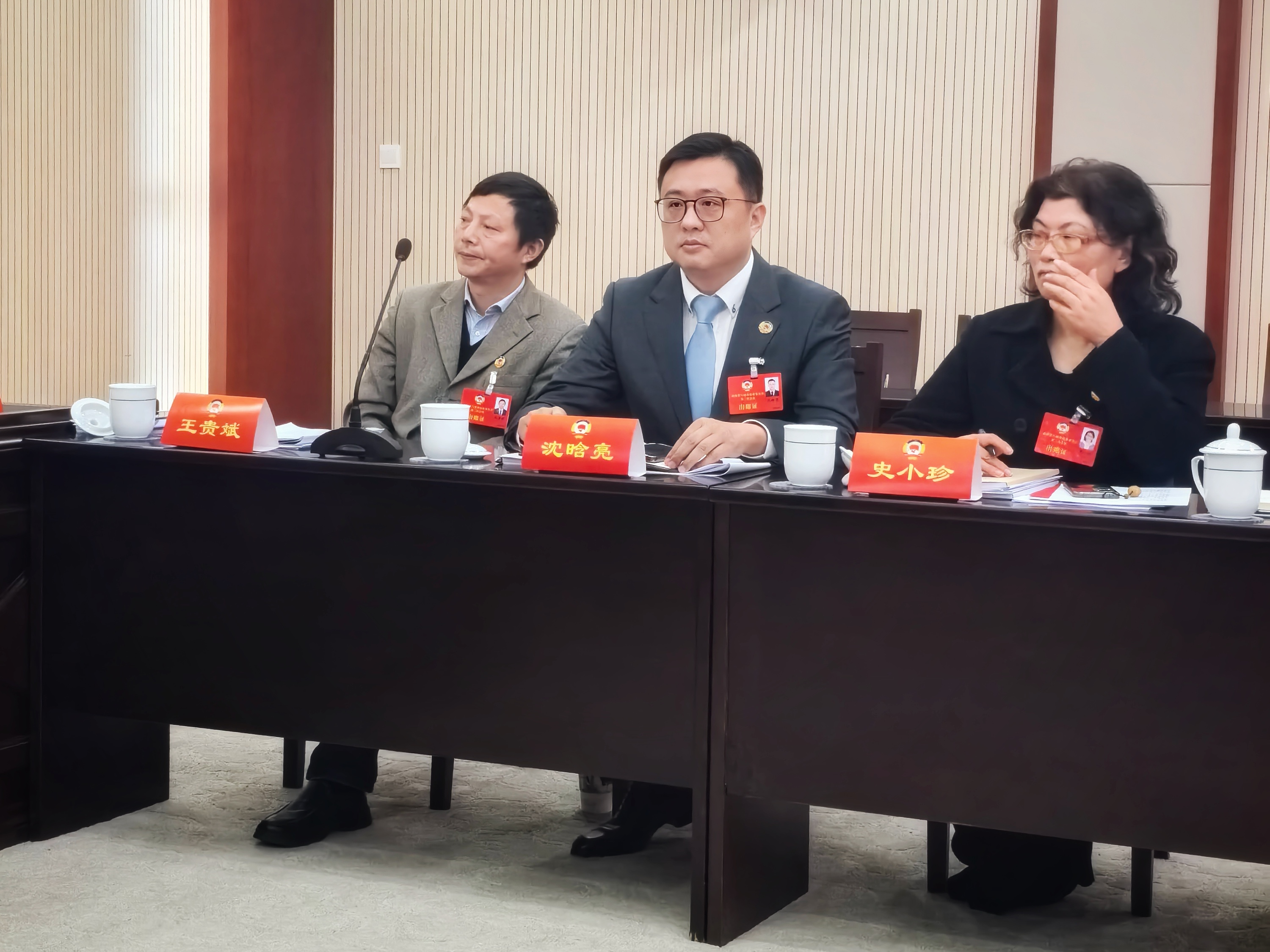 2024政协会照片(沈晗亮).jpg 2024政协会照片(沈晗亮).jpg